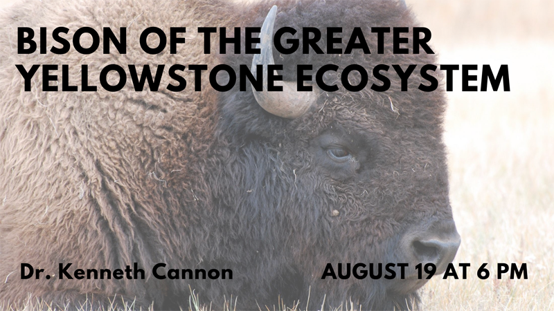 Bison of the Greater Yellowstone Ecosystem